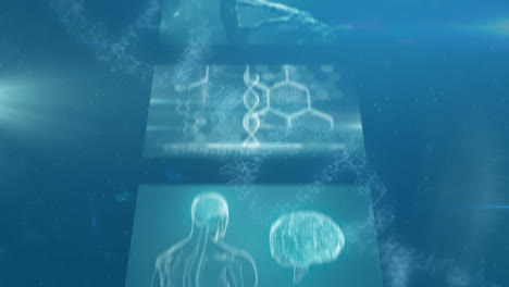 dna 구조가 의료 데이터 처리에 반대하고 있습니다.