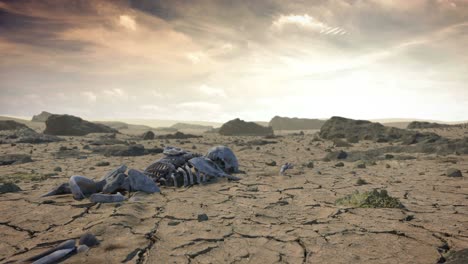 dry cracked ground with human skeleton, 3d looping animation