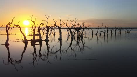 hileras de árboles muertos parados en la llanura aluvial con hermosos reflejos de agua y puesta de sol brillante en el horizonte en villa epecuen, buenos aires, toma aérea de drones