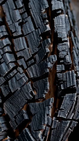 charred tree bark texture