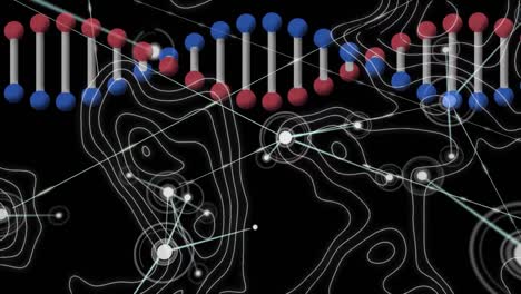 animación de la hilera de adn girando con líneas de mapas topográficos y red de conexiones