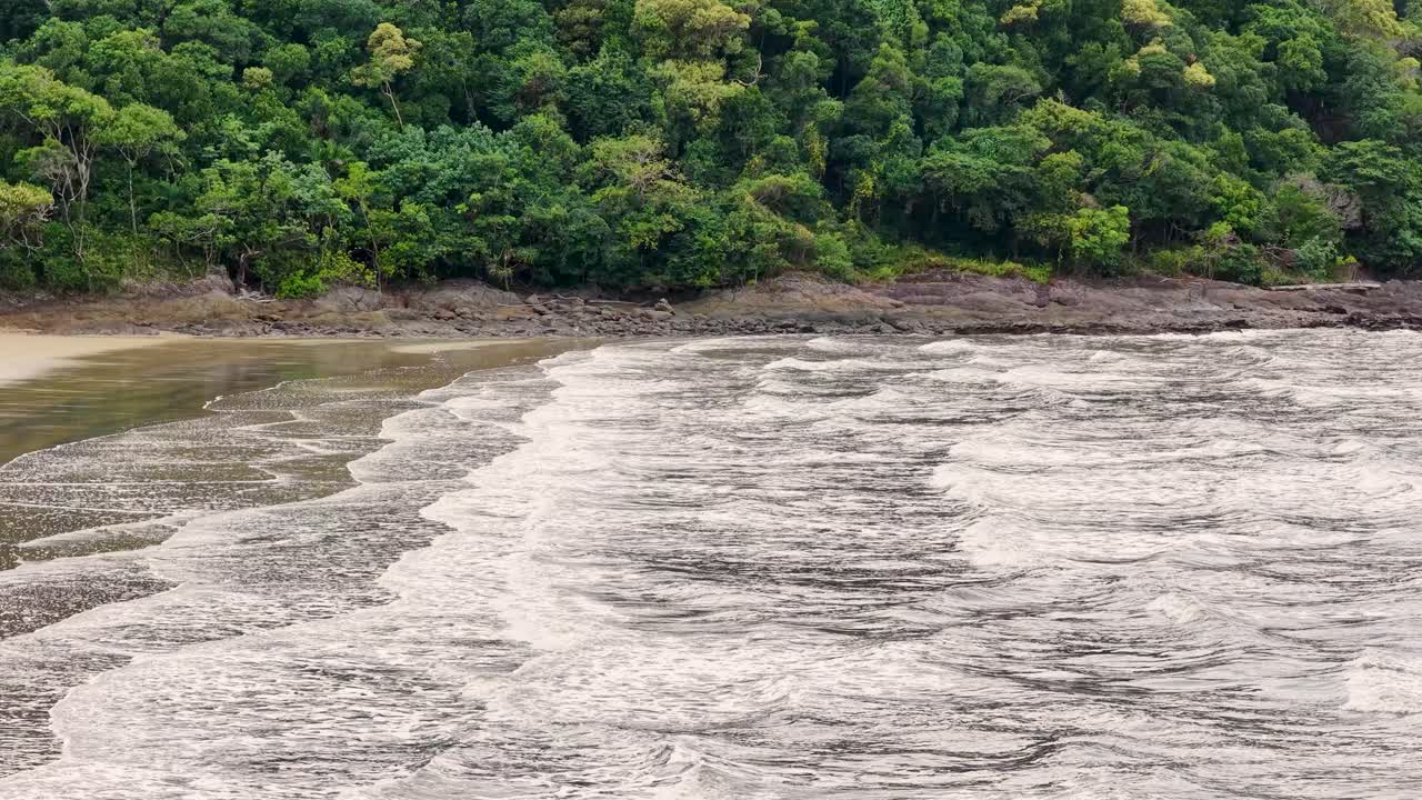Drone camera glides above a remote rainforest coastline in Queensland, capturing ocean waves rolling onto the sandy shore under soft natural daylight