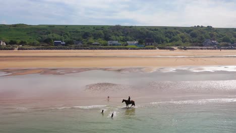 Antenne-über-Hunde-Laufen-Und-Pferd-Und-Reiter-Auf-Omaha-Beach-Normandie-Frankreich-Website-Des-Zweiten-Weltkriegs-D-Day-Invasion-Der-Alliierten-3