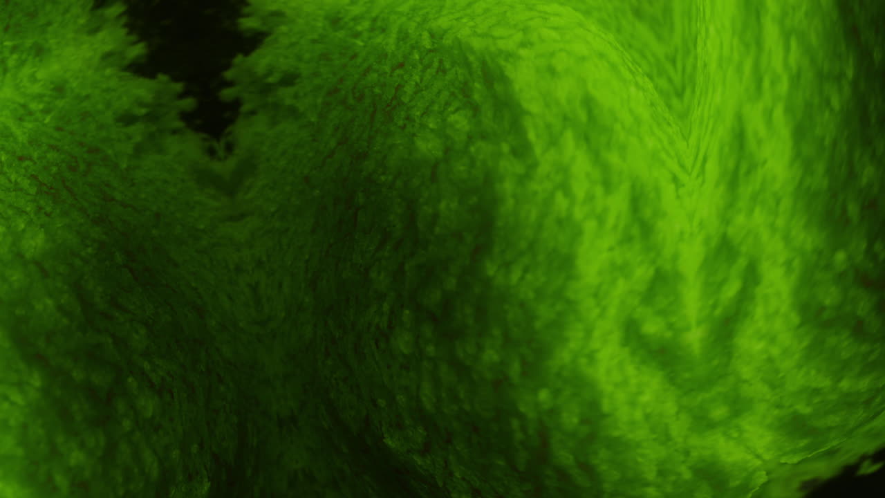 Abstract Green Textured Background