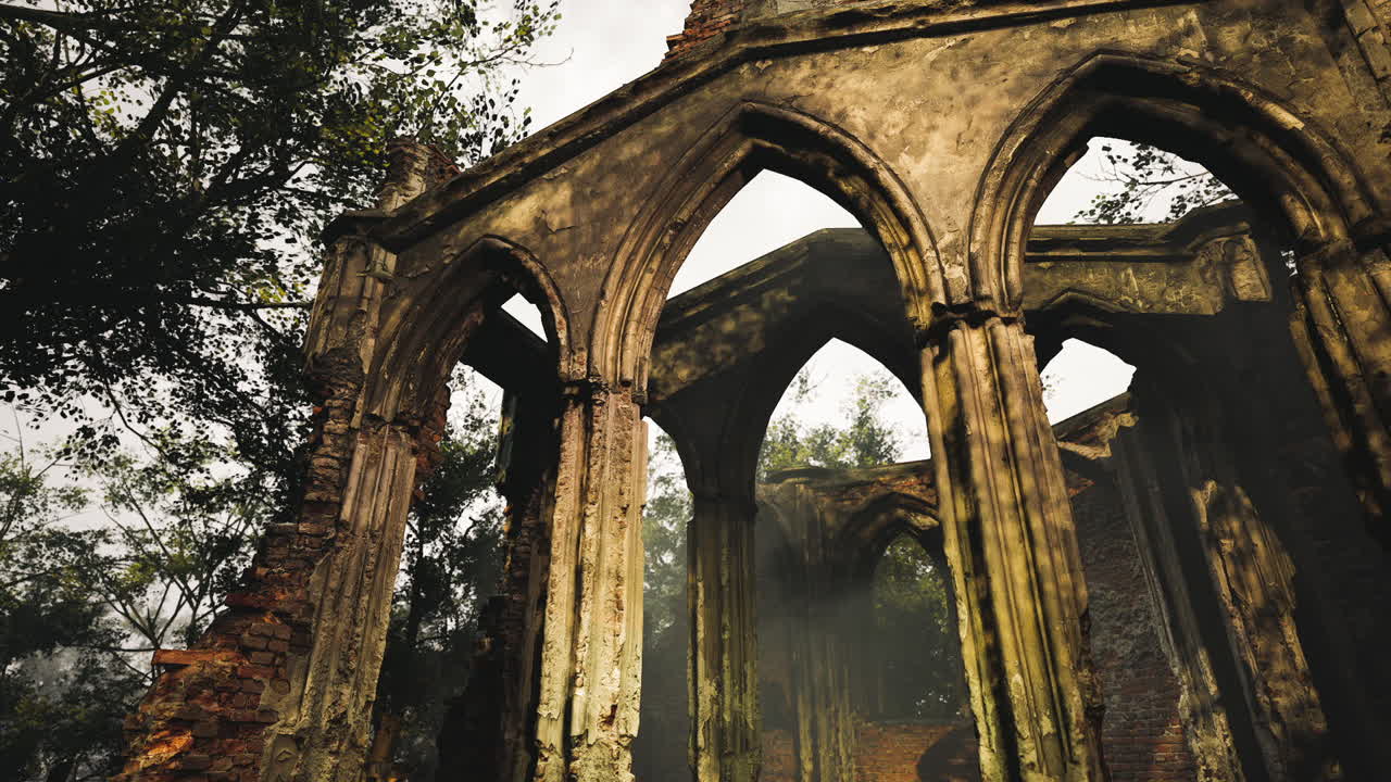 Rovine di archi in pietra circondati da vegetazione incolta in un'ambientazione nebbiosa.