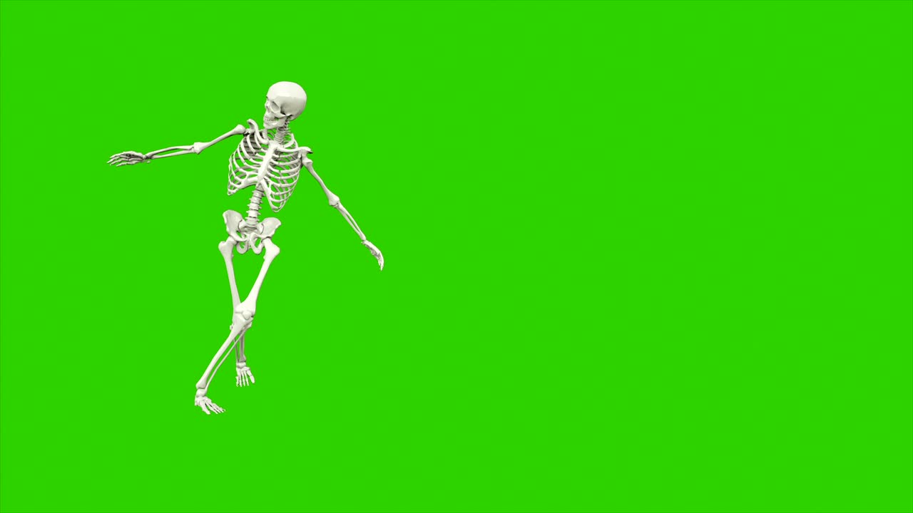 danza dello scheletro. animazione a loop senza soluzione di continuità sullo schermo verde.