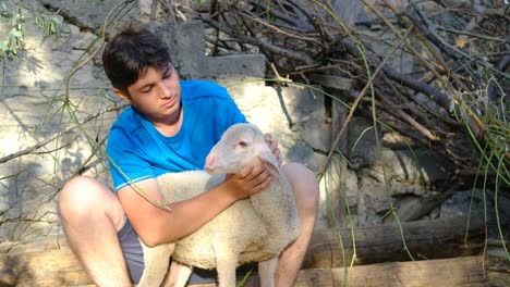 young man feeding lamb