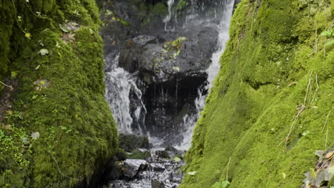 rustic waterfall in a lush forest
