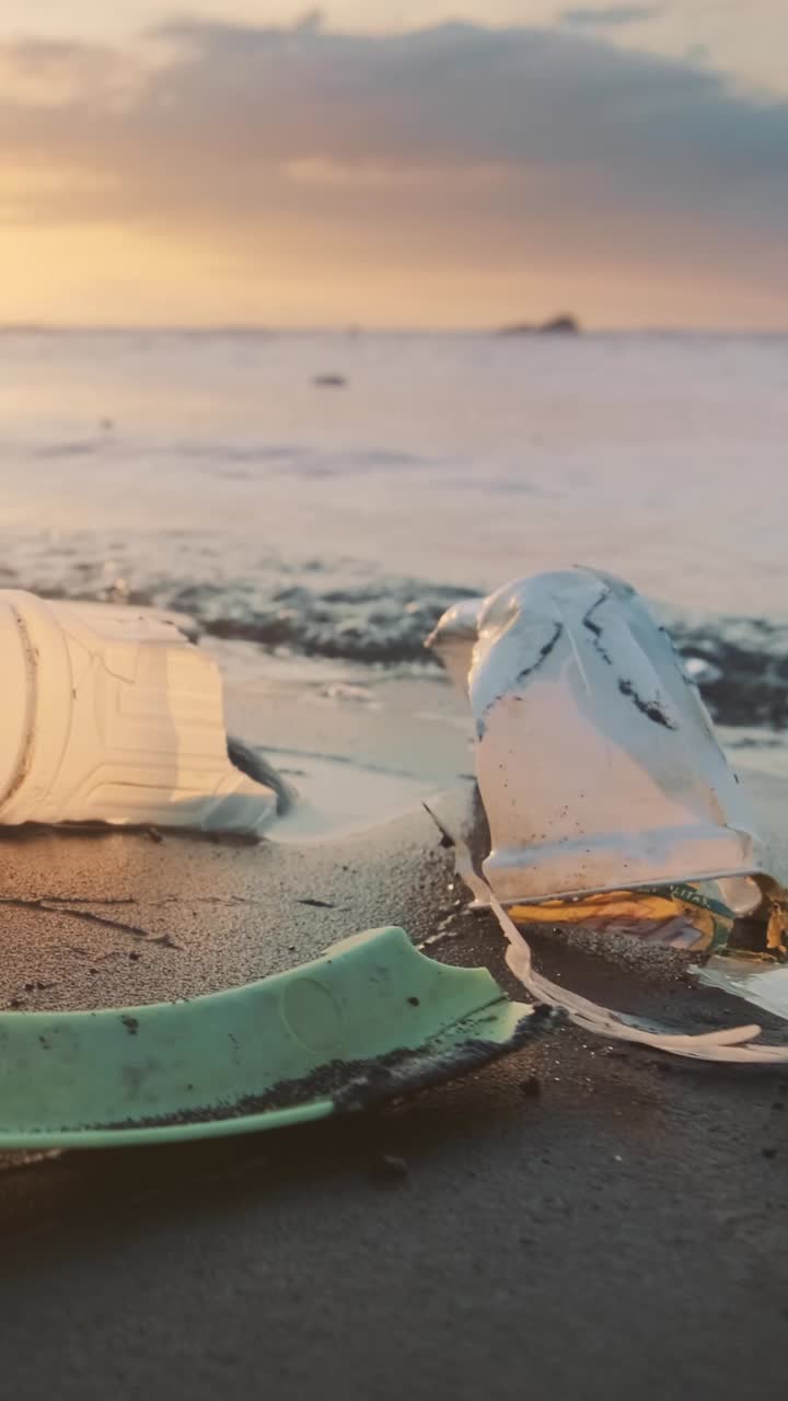 Volunteers unite to combat pollution along the serene coast at sunset