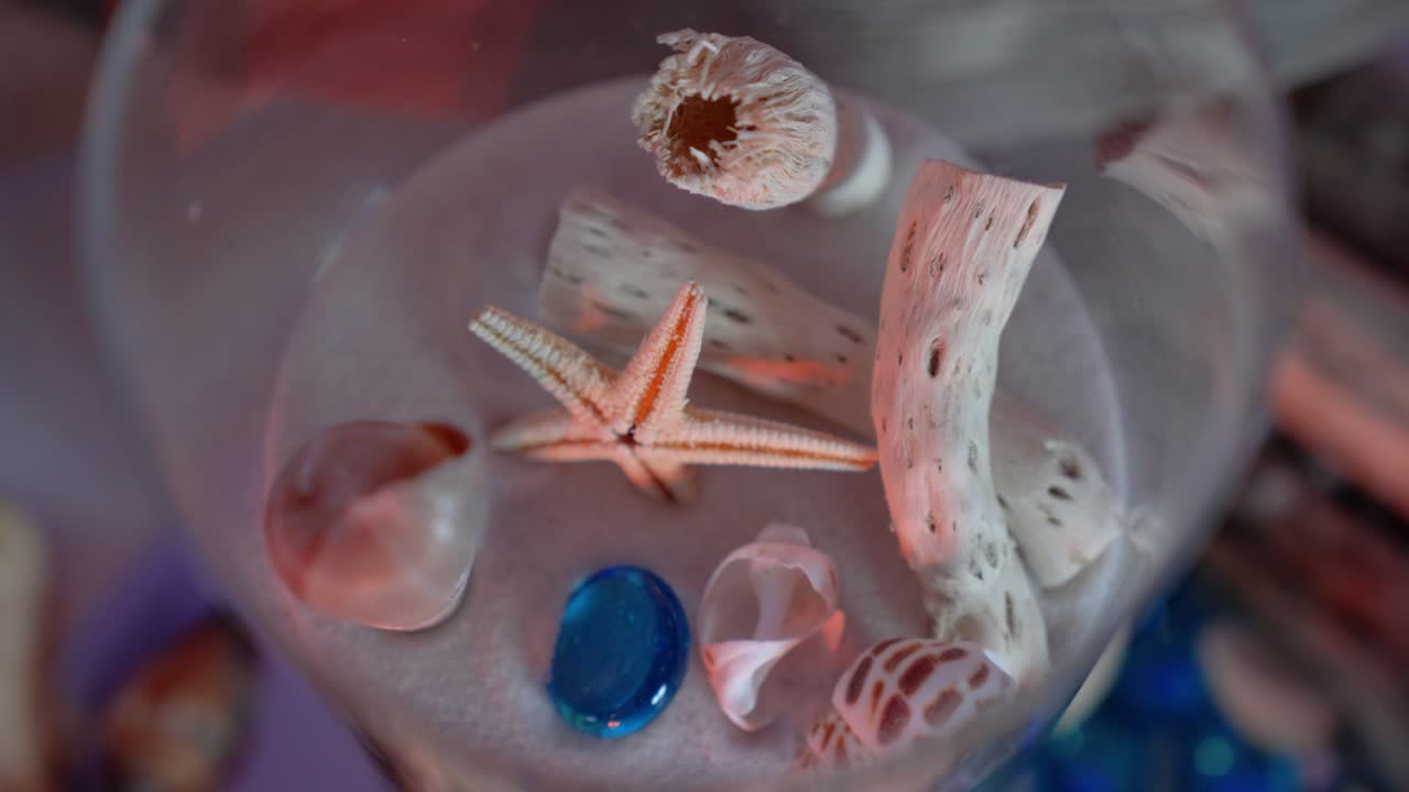 Glass container with seashells used as a centerpiece or decoration at wedding