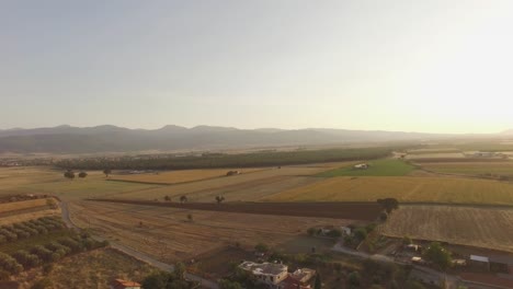 Luftaufnahmen-Von-Landwirtschaftlich-Genutzten-Feldern-In-Zentralgriechenland-Im-Sommer