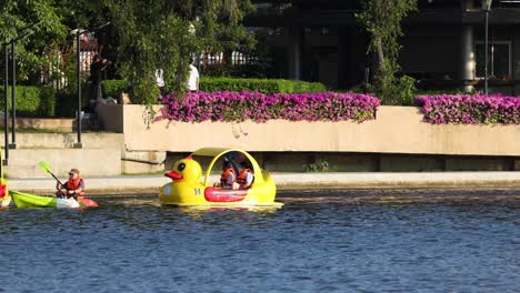 people enjoying paddle boats and kayaks on river