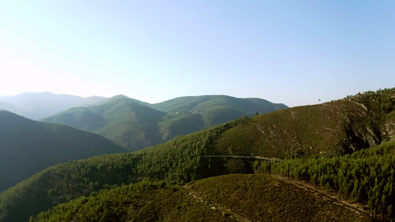 돌리가 산 위로 이동