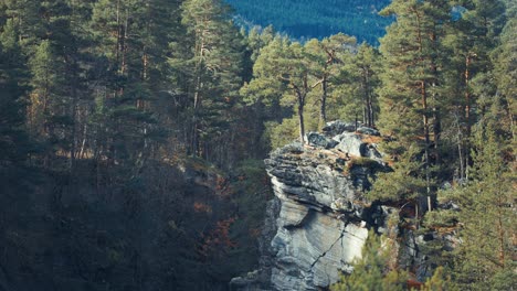 A-deep-rocky-canyon-in-the-Norwegian-forest-features-tall-pine-trees-standing-on-withered-cliffs,-while-a-wild-river-rushes-between-the-towering-walls