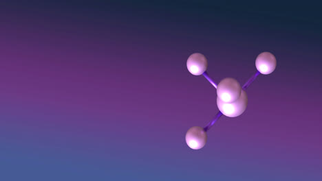 animation of macro of molecules on purple background