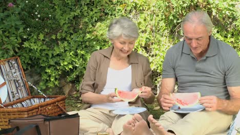 seniors feasting at a picnic