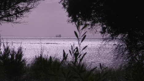 gran carguero saliendo de la bahía en un día tranquilo en port phillip melbourne