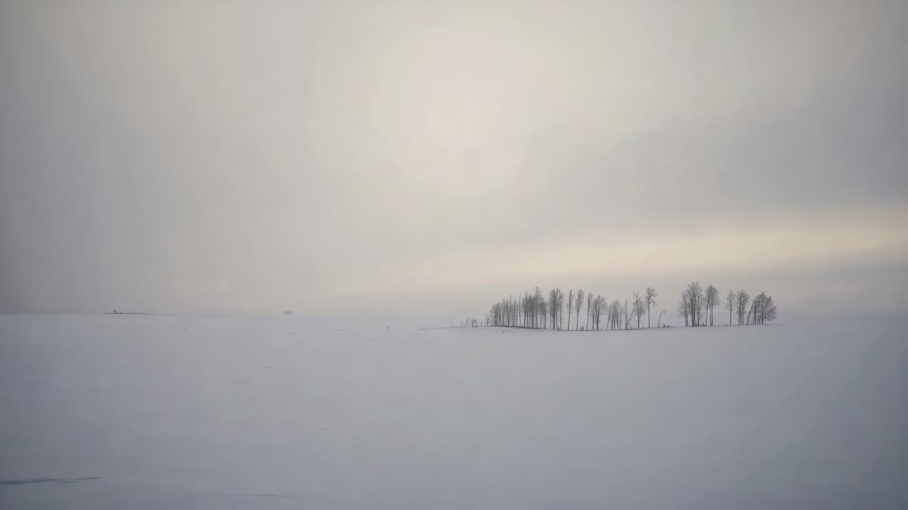 Recording bare grove holding on right horizon while clouds shifting light over snow, copy space