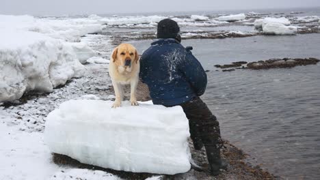 the man turned his back looking at the sea in the distance next to him dog