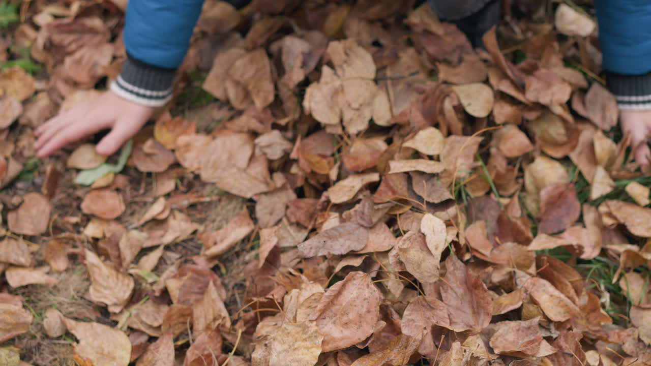Primo piano delle mani di un bambino che sollevano foglie secche in autunno; dettagli vividi di foglie che cadono e luce naturale creano una scena giocosa e stagionale.