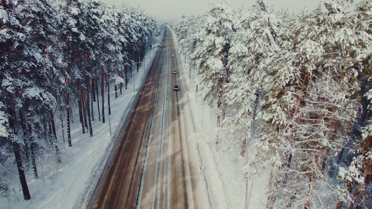 Snowy Road Through a Pine Forest
