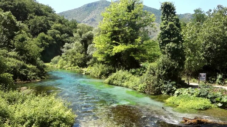 Splendido paesaggio di fiume e foresta intorno alla sorgente del Monumento Naturale Occhio Blu. Saranda, Albania