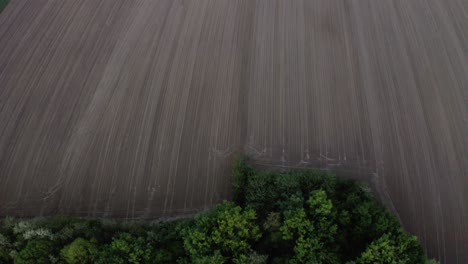 Cinematic-footage-of-beautiful-green-forest-and-agricultural-field-with-slow-camera-curve