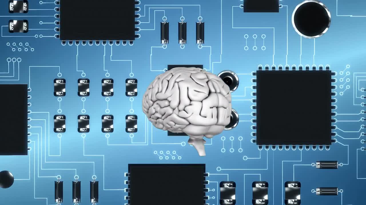 Brain and digital circuit
