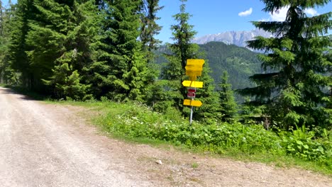 Schwenkaufnahme-Eines-Lächelnden-Wandermädchens-Beim-Wandern-In-Hohen-Bergen,-Umgeben-Von-Waldbäumen-Bei-Blauem-Himmel-Und-Sonnenlicht