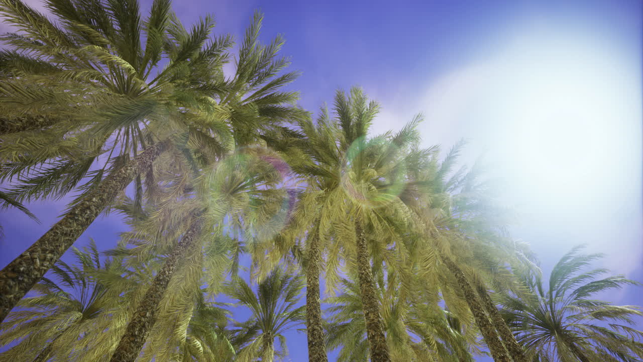 Palms under bright blue sky capture the essence of a tropical paradise