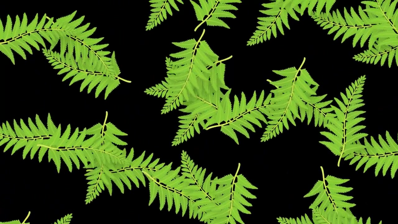 Animierte grüne Farnwedel treiben und wirbeln langsam vor einem dunklen Hintergrund in 4K.