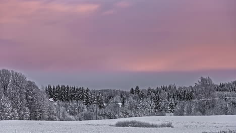 Timelapse-shot-shot-of-cloud-movement-over-snow-covered-coniferous-tree-forest-throughout-the-day