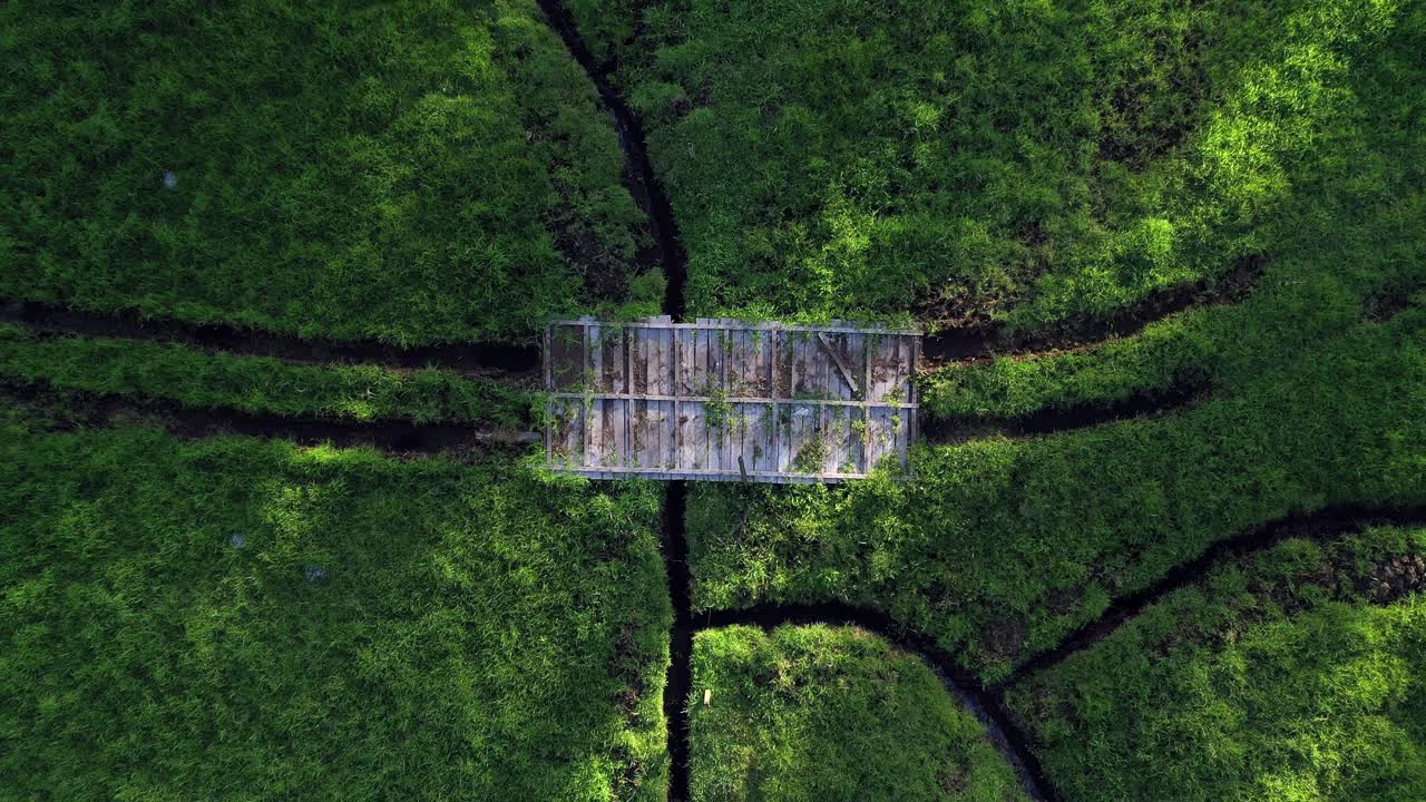 화창한 오후 황금 시간에 초원에 있는 소박한 다리의 아름다운 영화적 공중 조감도