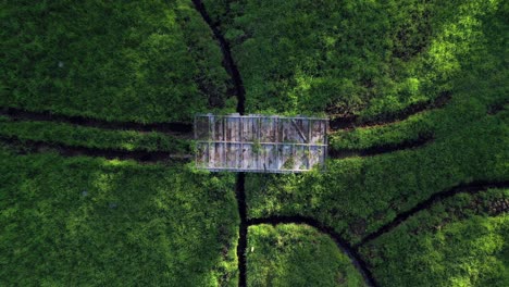 Wunderschöne-Filmische-Luftaufnahme-Aus-Der-Vogelperspektive-Einer-Rustikalen-Brücke-Auf-Einer-Wiese-Zur-Goldenen-Stunde-An-Einem-Sonnigen-Nachmittag