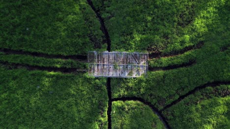 hermosa vista aérea cinematográfica de un puente rústico en un prado a la hora dorada en una tarde soleada