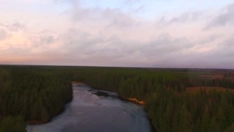 Drohnenaufnahme-Des-Forezen-Flusses-Im-Grünen-Wald