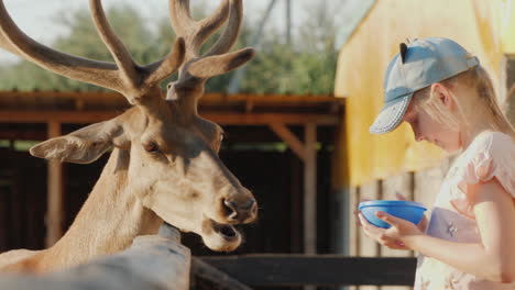 little girl feeding a deer near the wooden fence