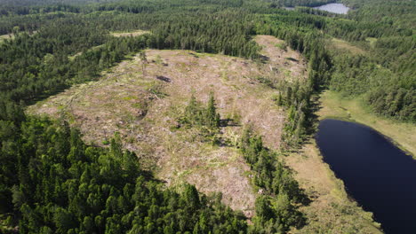 aerial drone rotating shot flying high over destroyed forest due to deforestation or environmental disaster alongside a lake on a bright sunny day