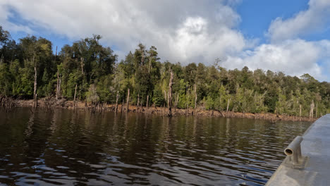 Viajando-En-Barco-Por-El-Río-Rodeado-De-Un-Denso-Bosque-Verde-En-El-Desierto