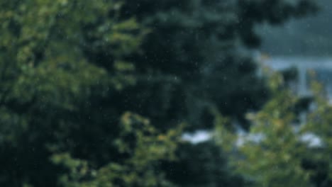 deails of the rain in slow motion