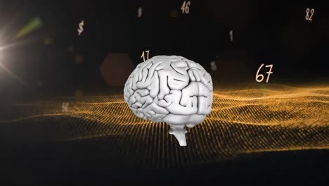 animación del cerebro humano y procesamiento de números