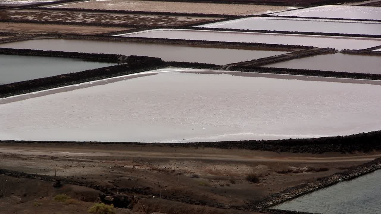 salinas de janubio의 중간 샷, lanzarote, 카나리아 제도, 스페인의 소금 생산