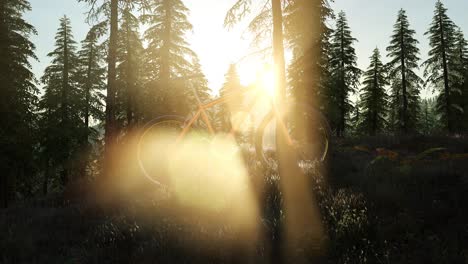 bicycle in mountain forest at sunset