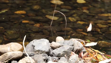 stones stacked by a peaceful river