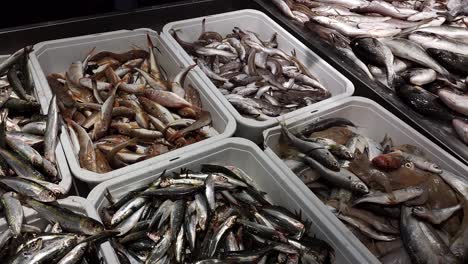 Kisten-Mit-Seefisch-Zum-Verkauf-In-Einem-Fischgeschäft,-Sardinen,-Herzmuscheln,-Meeräsche,-Kleiner-Kabeljau,-Wolfsbarsch-Und-Weiße-Goldbrasse-Für-Die-Mediterrane-Küche