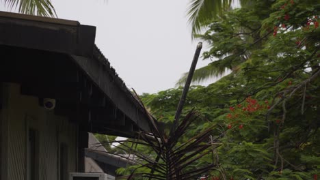 Heavy-rain-pouring-at-a-resort-in-Fiji,-waterdrops-falling-off-tin-rooftop