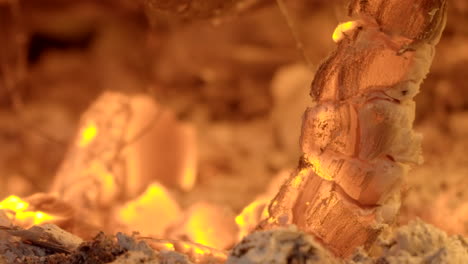 Cosy-wood-ember-burning-in-smoldering-fireplace,-close-up-time-lapse