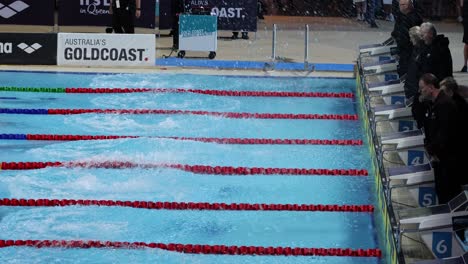 swimmers dive into pool at a competitive event