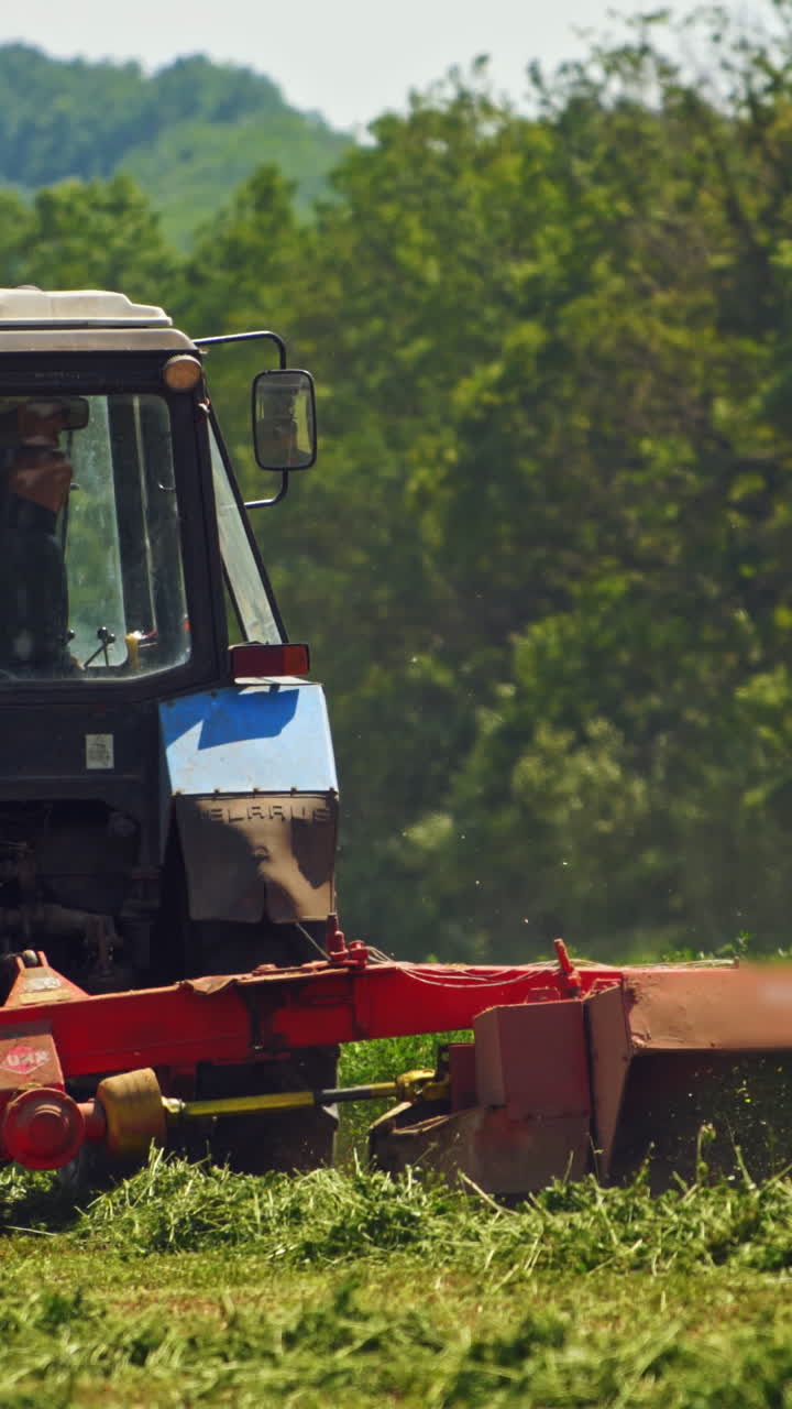Tractor is cutting green grass on the field near the forest. Agricultural works in the green field during seasonal works for preparing fodder for livestock in summer. Vertical video