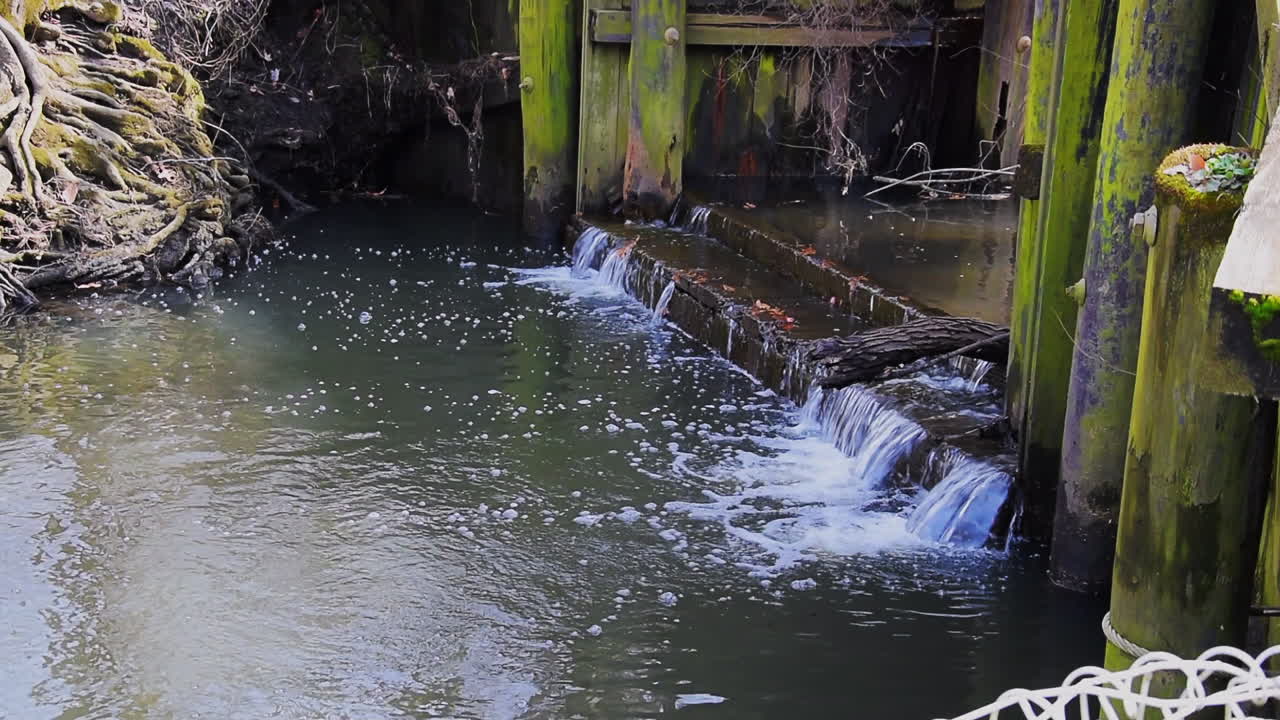 Water flowing under a bridge